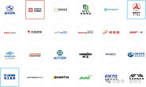 思客琦問詢回復引質疑 高管履歷披露存疑，信息咨詢服務成焦點